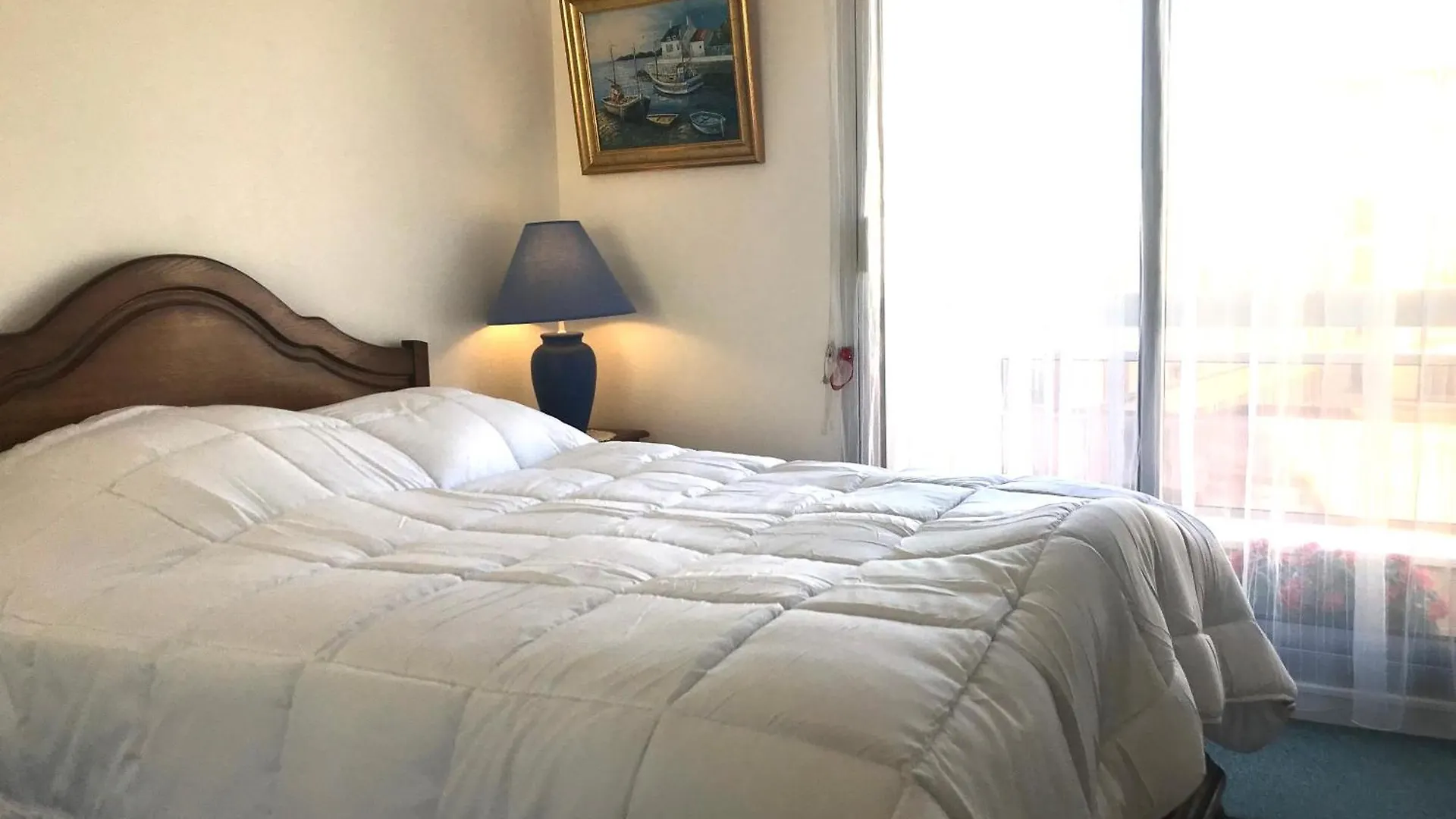 Le Casino Des Fleurs - Hypercentre - Parking - Balcon Apartment Vichy